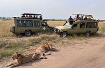 9 Days Uganda Wildlife Safaris, Gorilla Trekking & Hiking