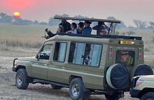 9 Days Uganda Wildlife Safaris, Gorilla Trekking & Hiking