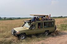 9 Days Uganda Wildlife Safaris, Gorilla Trekking & Hiking