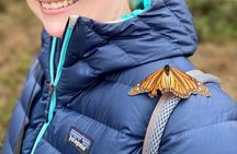 Monarch Butterfly Tour Mexico: Sierra Chuincua and Magic Town
