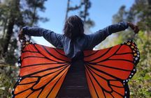 Monarch Butterfly Tour Mexico: Sierra Chuincua and Magic Town