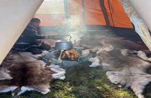 Private Hammerfest Reindeer and Stories A Sami Cultural Adventure