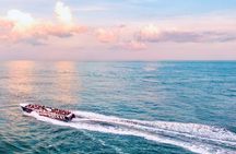 1-Hour Sea Rocket Sunset & OC Harbor Cruise in Ocean City, MD