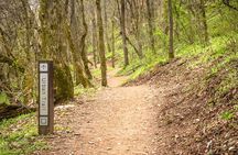 Bentonville Singletrack Mountain Bike Tour