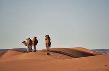 Morocco 8-Night Tour: Chefchaouen, Desert & Hot Air Balloon