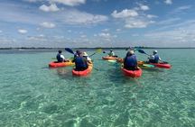 The Island Tour