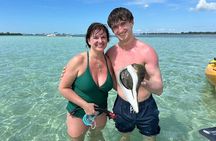 The Island Tour