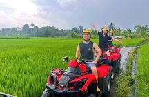 Bali ATV Quad Adventure - Ubud Monkey Forest and Waterfall