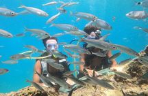 Antalya Scuba Diving with Bout Tours