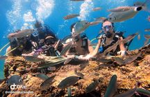 Antalya Scuba Diving with Bout Tours