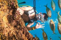 Antalya Scuba Diving with Bout Tours