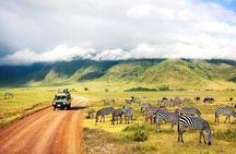 2 Day Safari To Tarangire & Lake Manyara from Zanzibar