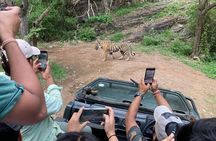Jaipur to Ranthambore Tiger reserve Safari Day trip All Inclusive
