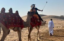 Evening Desert Safari Abu Dhabi with Hot BBQ Dinner 
