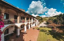Tasting of 7 wines in the Langhe and visit to the cellar