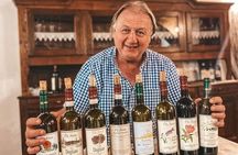 Tasting of 7 wines in the Langhe and visit to the cellar