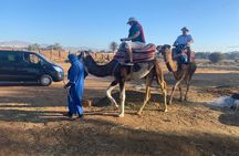 Camel Ride and Barbecue Tour in Agadir