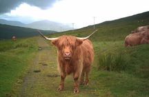 Edinburgh: Private Loch Ness Glencoe and The Highlands Tour
