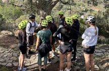 Natural Reserve on Electric Mountain Bike with Guide