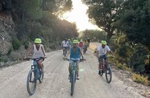 Natural Reserve on Electric Mountain Bike with Guide