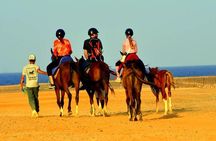 Horseback riding in Marsa Alam and Port Ghalib