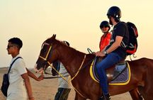 Horseback riding in Marsa Alam and Port Ghalib