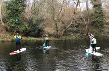 Half day Paddleboarding exploration on the Dart