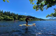 Half day Paddleboarding exploration on the Dart