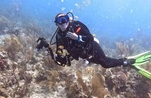 Private 2-Tank Dive with PADI Instructor for Certified Divers