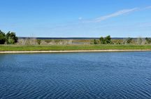Kissimmee Lakefront Tour on a Fully Electric Trike