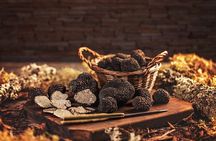 Truffle hunting tour from Rijeka