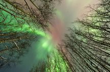 Aurora Chasing tour with Free Photography