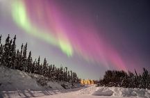 Aurora Chasing tour with Free Photography