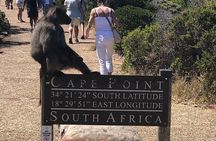 Cape Peninsula Full Day Private Tour