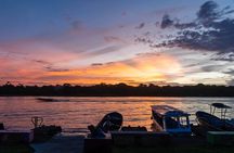 Tortuguero: Canoe Tour + Night Jungle Tour + Cerro Viewpoint Tour