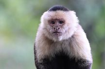 Monteverde Cloud Forest Tour