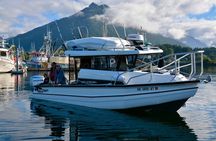 Private Charter Scenic Wildlife Excursion for Cruise Passengers