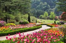 Full Day Private Tour Nami Island, Garden & Petite France