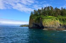 Private Charter Scenic Wildlife Excursion for Cruise Passengers