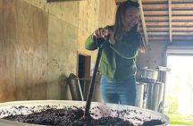 Chefs Private Martinborough Wine Tour with lunch from Wellington