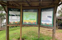 Blue Mountain Peek, and Site Seeing 