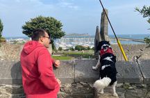 Dublin Coastal Hike and Pints with A local & His Dog Private tour