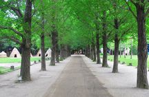 Nami Island, Petite France & Italian Village Day Tour from Seoul