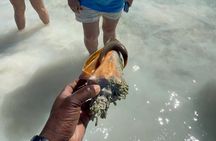 3 Hours Guided Great Exuma ATV Tour