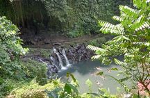 Best of Ubud Scenic Tamansari Waterfall Private Guided Tour 