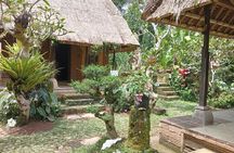 Best of Ubud Scenic Tamansari Waterfall Private Guided Tour 