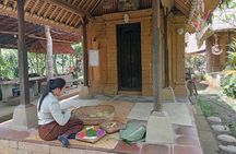Best of Ubud Scenic Tamansari Waterfall Private Guided Tour 