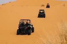 Private Guided Camel Ride and Buggy Tour Visit to Riyadh