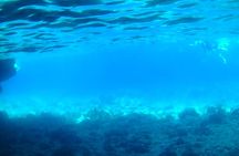 Boat tour Excursion from Trapani to Favignana and Levanzo 8 hours