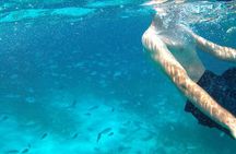 Boat tour Excursion from Trapani to Favignana and Levanzo 8 hours